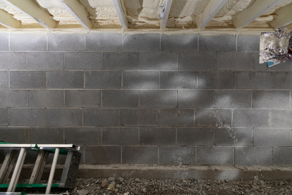 The True Value of Crawl Space Encapsulation: Is it Worth the Investment? blog header image