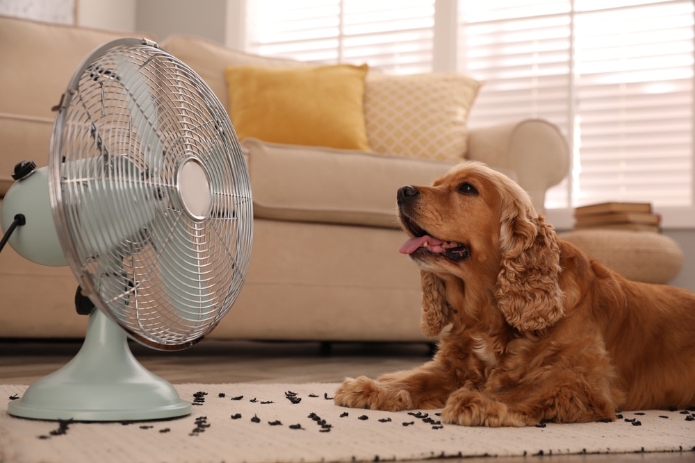 Hot Bedroom? 5 Reasons you Can't Keep Upstairs Cool blog header image