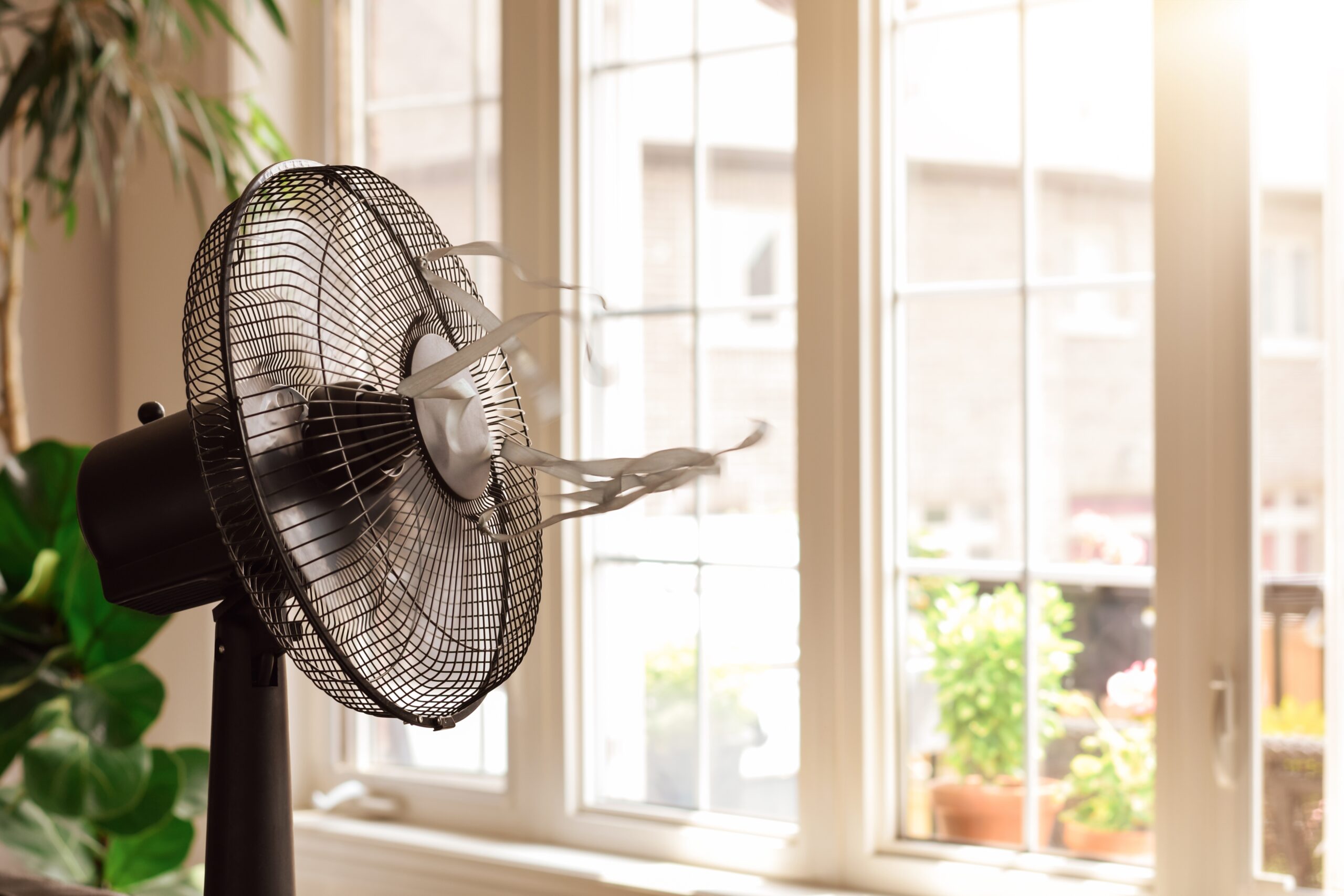 5 Signs Your Windows Aren't Ready for Heatwaves blog header image